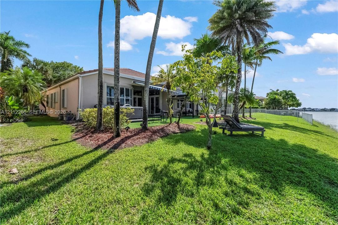 Waterfront backyard featuring a manicured lawn, mature palm trees, multi-pane windows, and a metal perimeter fence