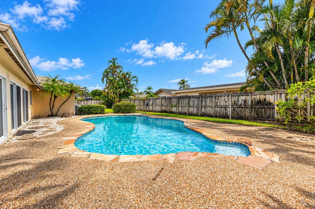 Pool and Backyard