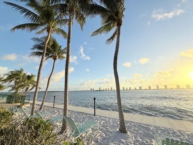 PALM BEACHES