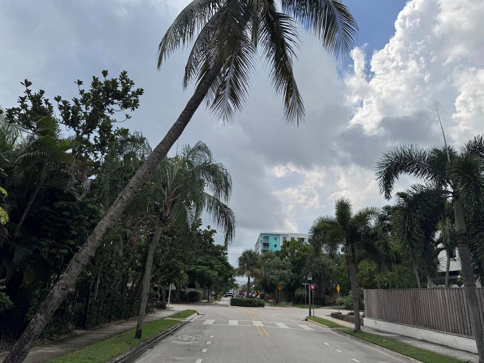 Spruce Ave