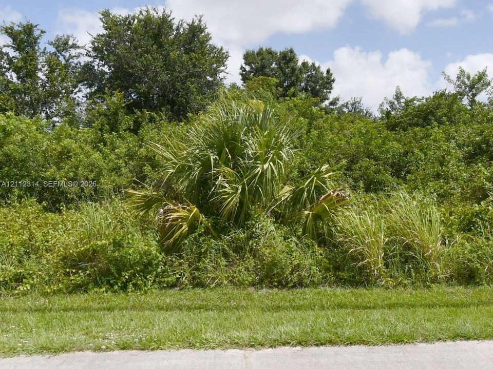 315 SW Becker Rd. Lot featuring native vegetation, mature palm, and established trees
