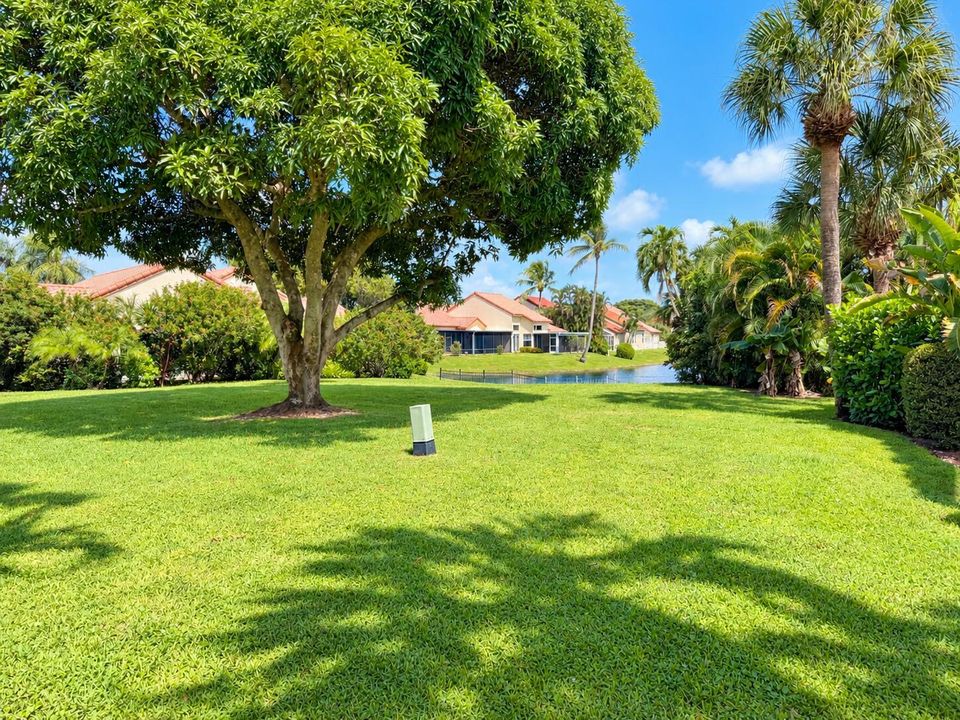 Sunny Florida Backyard Pond View