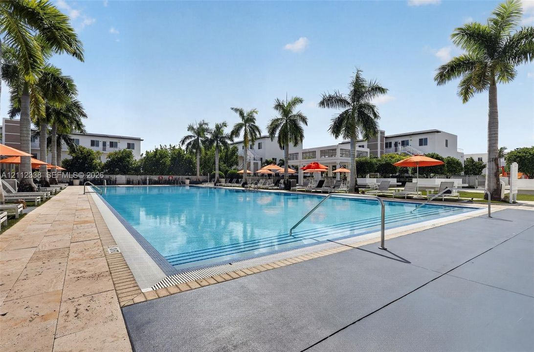 Rectangular swimming pool featuring a tiled waterline, built-in steps with stainless steel handrails, expansive stone deck, and mature palm trees