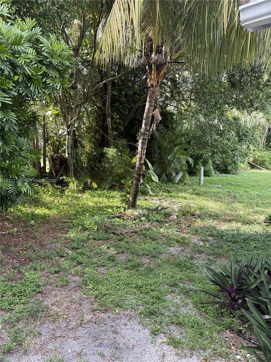 For Rent: $3,650 (3 beds, 2 baths, 3733 Square Feet)