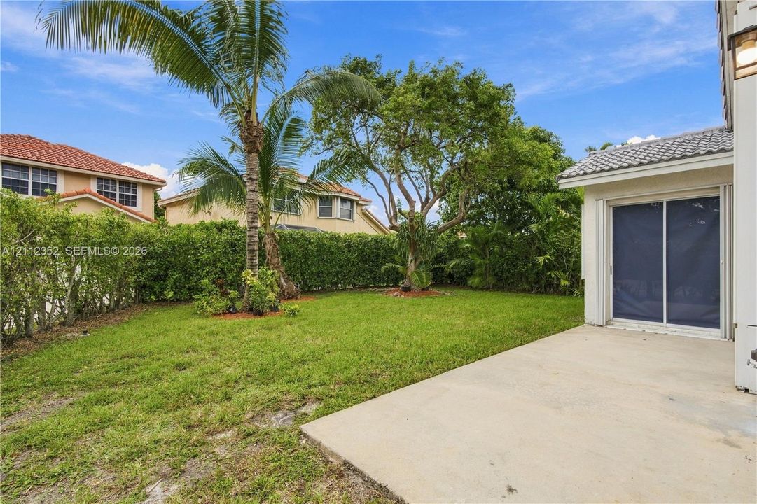 Backyard featuring a concrete patio, manicured lawn, established palm tree, and perimeter shrubbery