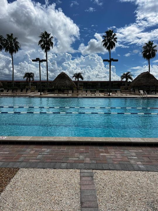 Swimming pool featuring a multi-lane configuration, paver deck, and multiple thatch-roof structures