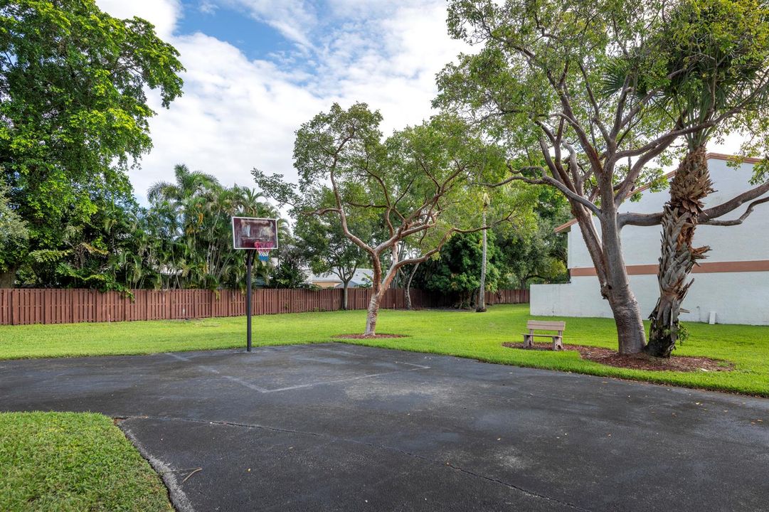 basket ball area