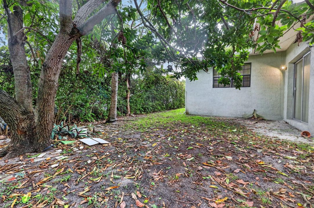 35-web-or-mls-8H3A1769
