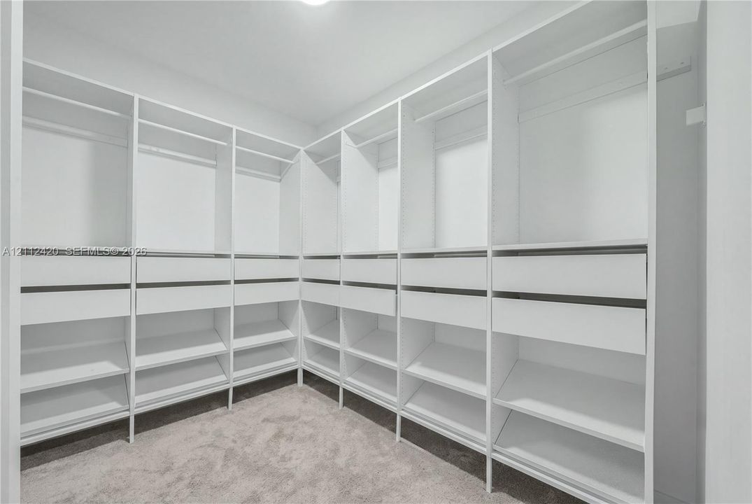 Walk-in closet featuring white built-in shelving, integrated hanging rods, and multi-level drawer storage with wall-to-wall carpeting