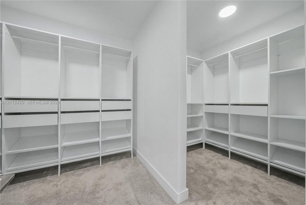 Walk-in closet featuring white built-in shelving, integrated hanging rods, multiple storage drawers, and neutral carpeting