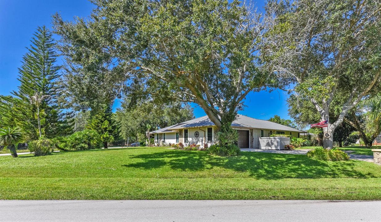 Majestic Trees on .49-Acre Corner Lot