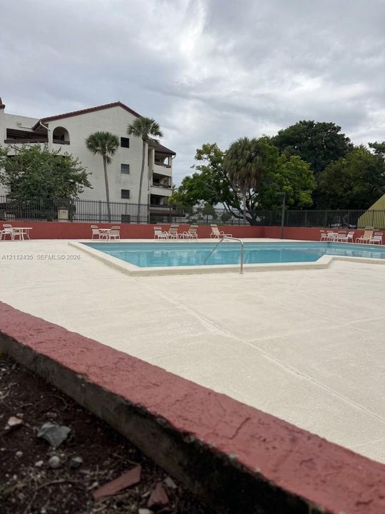 In-ground swimming pool featuring a concrete deck, metal perimeter fencing, and surrounding mature palm trees