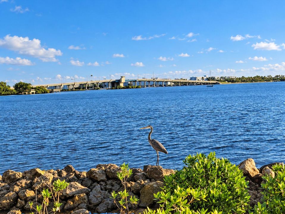 Lake Worth Bridge view from Bryant Park
