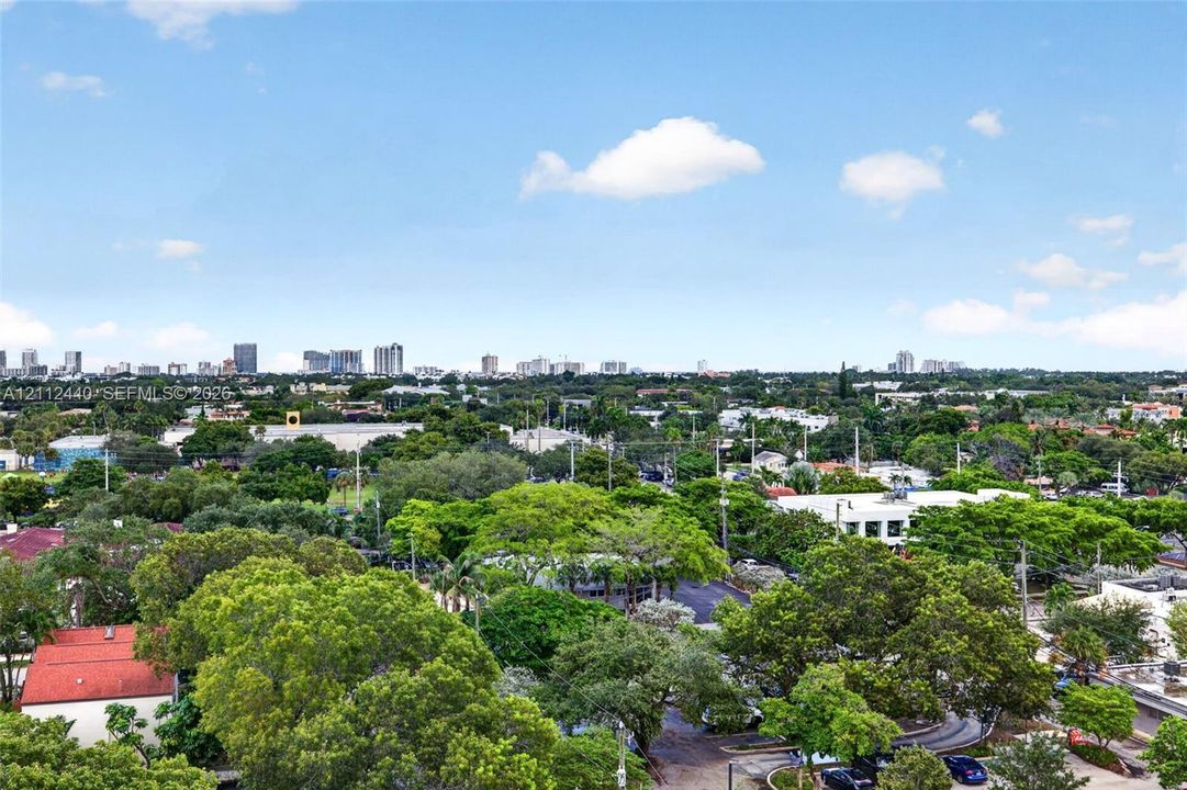 Elevated perspective showcasing a sprawling landscape of mature canopy trees and distant metropolitan skyline