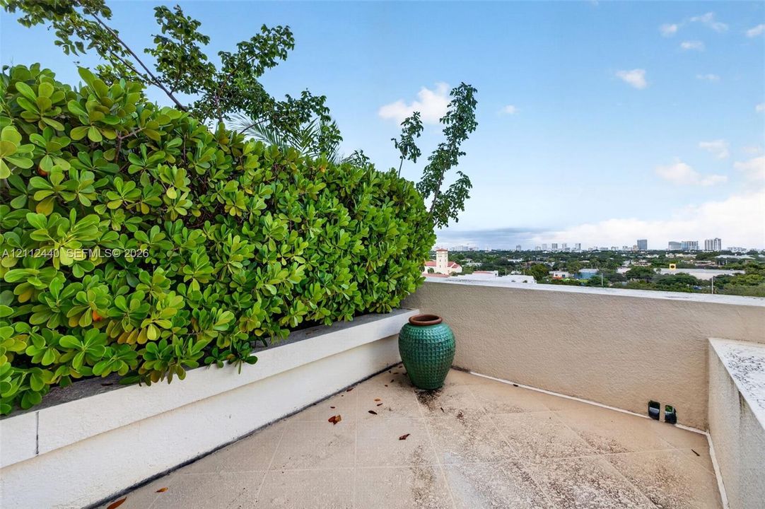 Rooftop terrace featuring concrete tiled flooring, stucco perimeter walls, and a built-in planter with mature hedge greenery