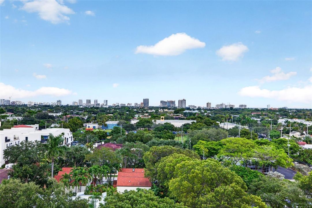 Panoramic skyline, mature tree canopy, and expansive horizon