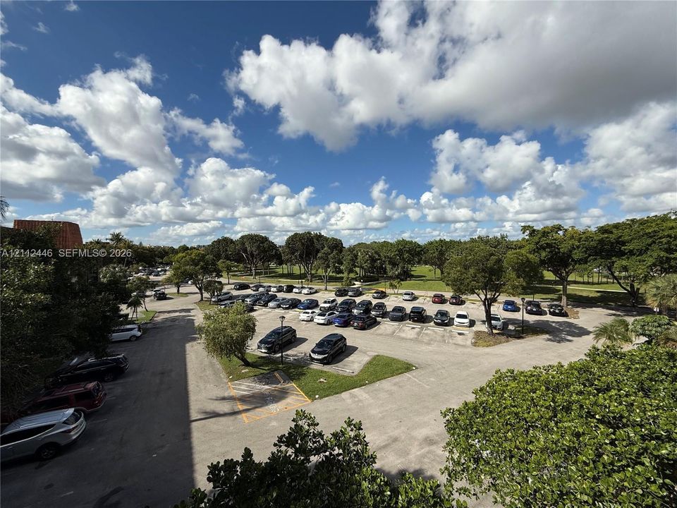 Asphalt-paved parking lot with dedicated parking spaces, bordered by mature trees and landscaped green areas