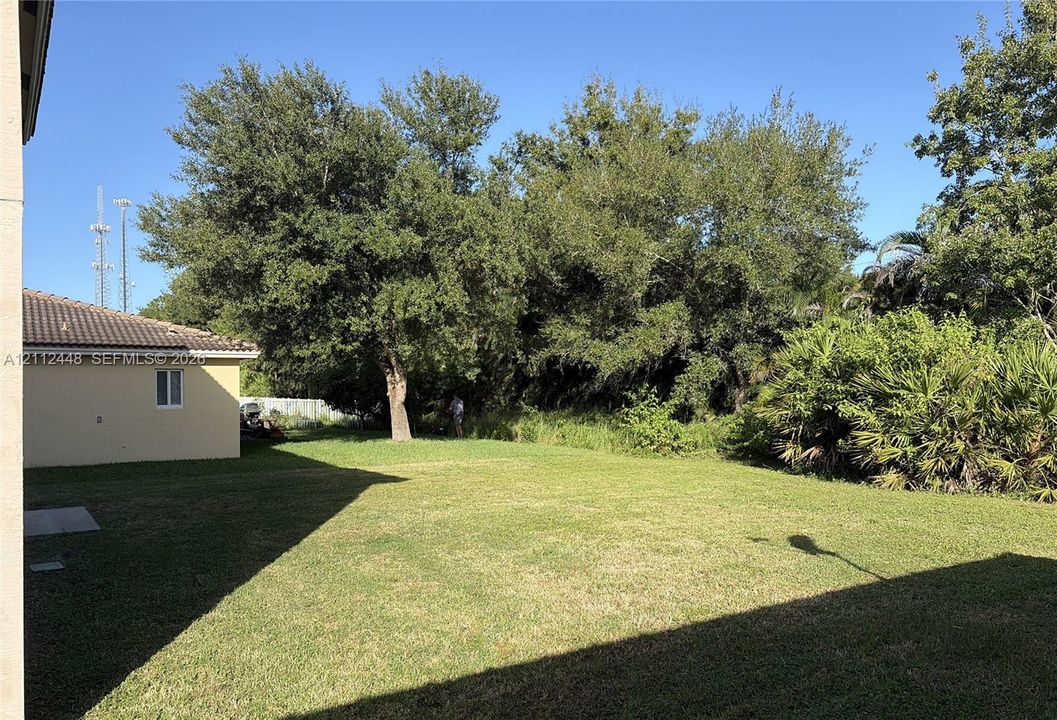 Expansive backyard featuring a level lawn, mature trees, dense perimeter vegetation, and concrete exterior siding