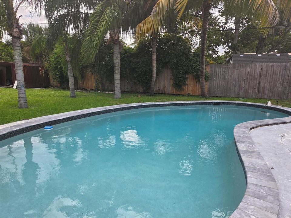 Photo 31