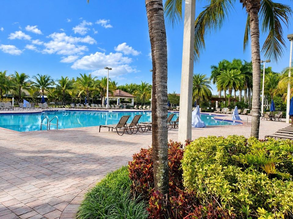 Swimming pool featuring a paver stone deck, built-in pool lighting, palm landscaping, and structural shade pavilion