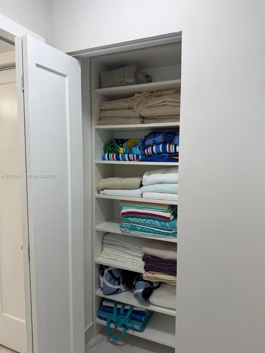 Built-in recessed shelving unit featuring adjustable white cabinetry and a solid-core swing door