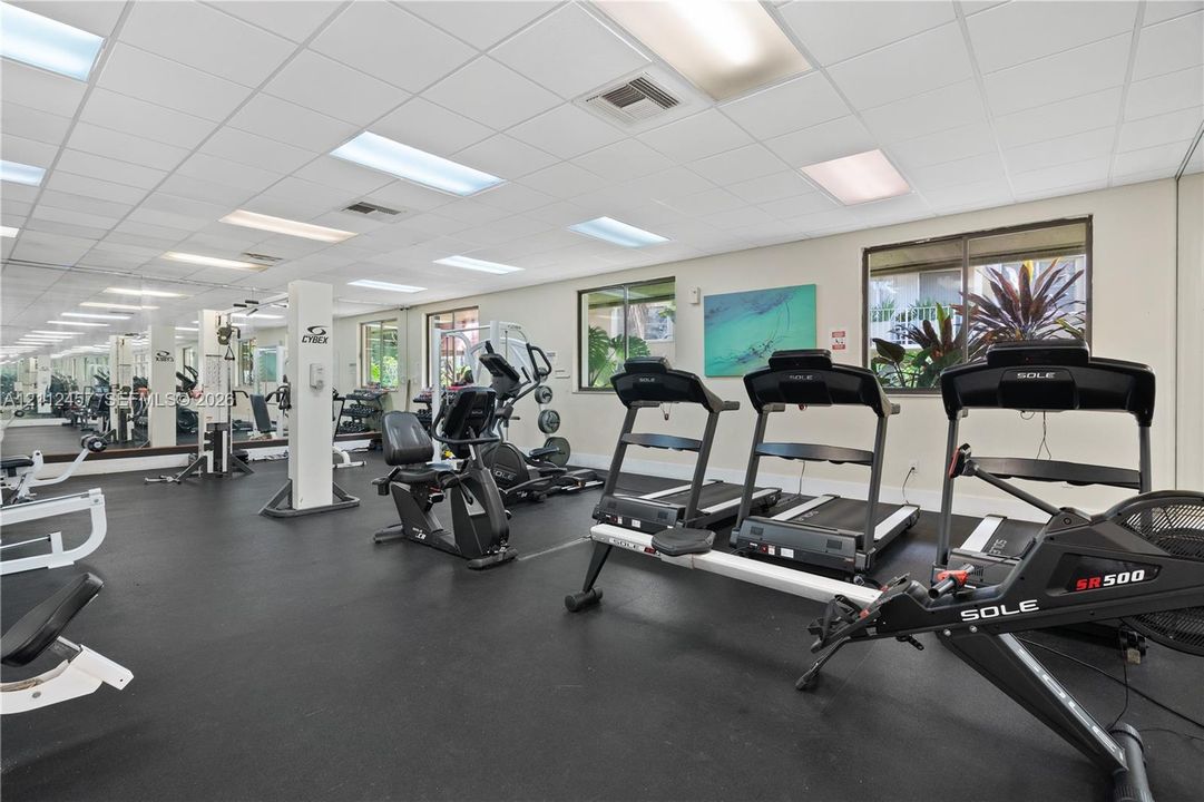 Fitness space featuring impact-resistant rubber flooring, full-length wall mirrors, drop-ceiling lighting, and multiple windows