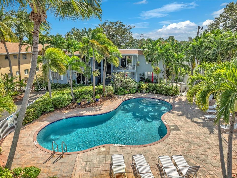 Free-form swimming pool featuring a paver stone deck and surrounding palm trees