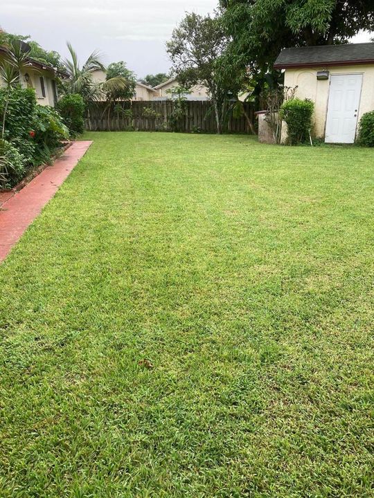 COURTYARD GRASS
