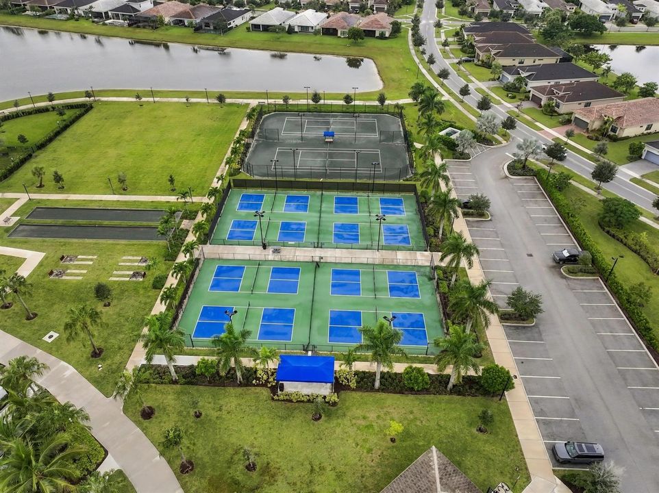 Pickleball Tennis