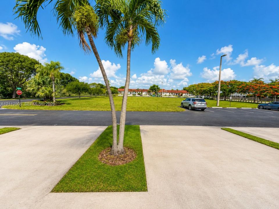 Paved surface parking area featuring concrete stalls, maintained lawn sections, and established palm tree landscaping