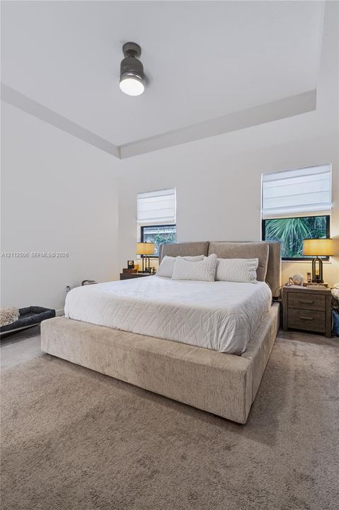 Tray ceiling featuring a central flush-mount light fixture, carpeting, and dual windows with roman shades