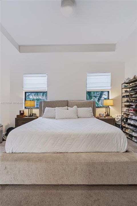 Tray ceiling, carpeted flooring, and dual windows with fitted Roman shades
