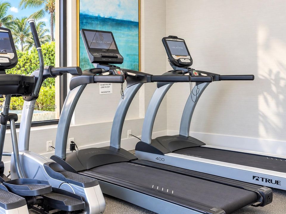 Fitness center featuring professional-grade treadmills and elliptical equipment with integrated touch-screen displays, neutral wall finishes, and floor-to-ceiling windows providing natural light