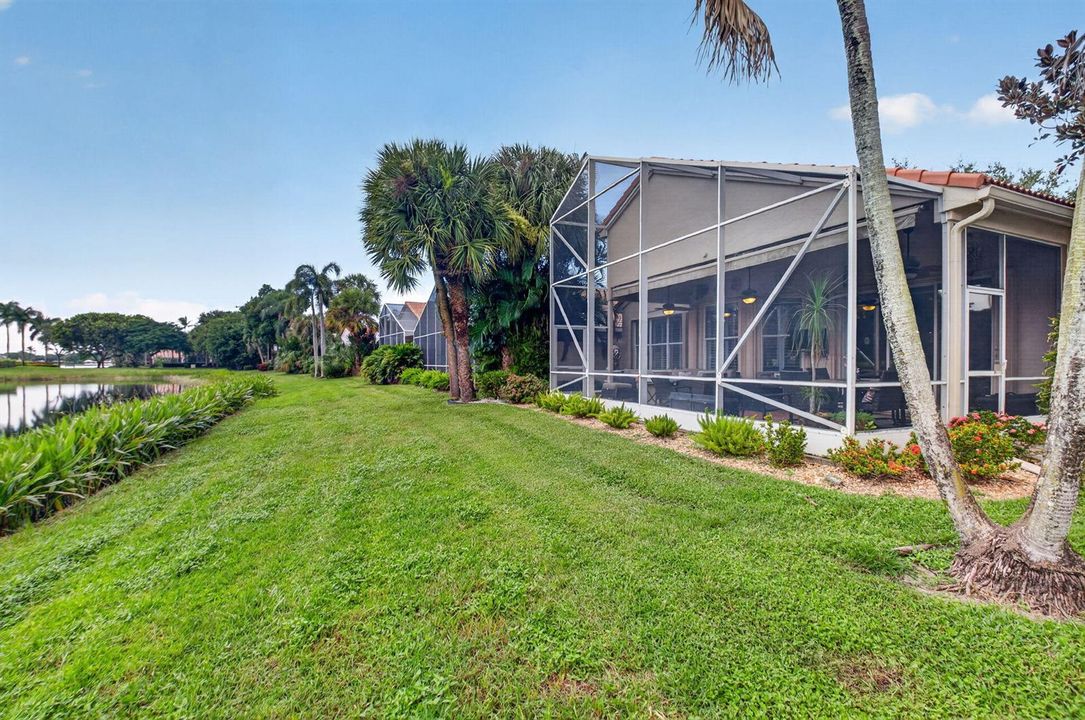 View of Backyard