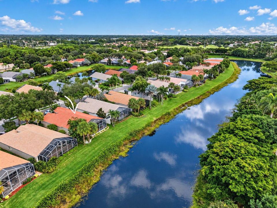 Drone View