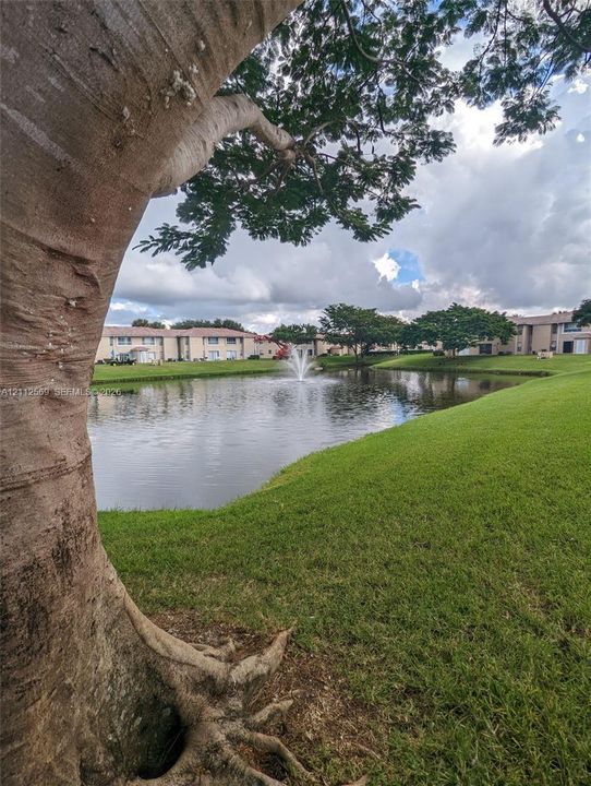 Waterfront pond featuring a central fountain, surrounding lawn, and mature trees