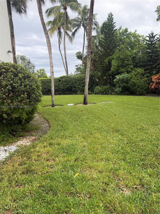 Expansive lawn area featuring mature palm trees, sculpted shrubbery, and dense perimeter foliage