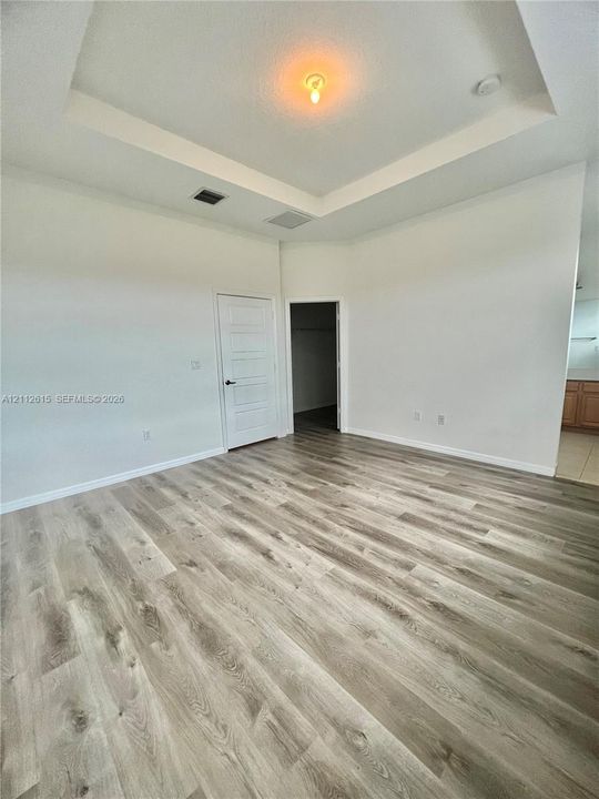 Tray ceiling with central fixture, wood-finish flooring, and interior door leading to a walk-in storage space