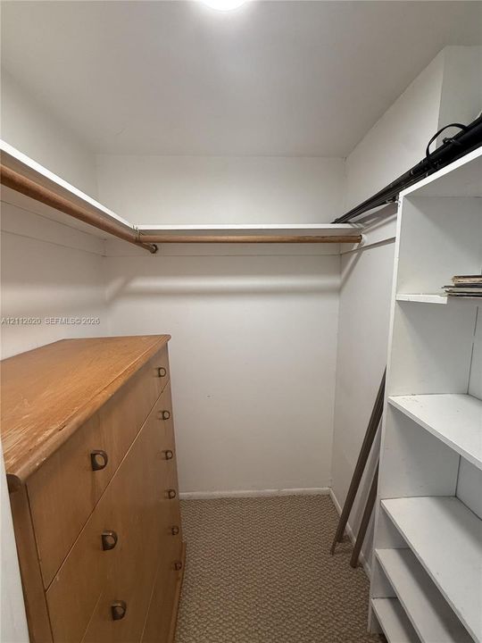 Storage closet featuring built-in white shelving, integrated hanging rods, and neutral carpeting