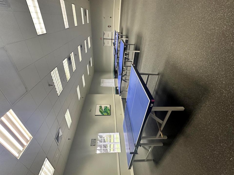 PING PONG