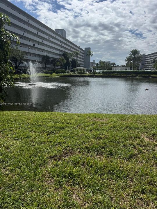 Manicured lawn encompassing a central pond with a mechanical fountain, framed by palm trees and multi-story structural exteriors