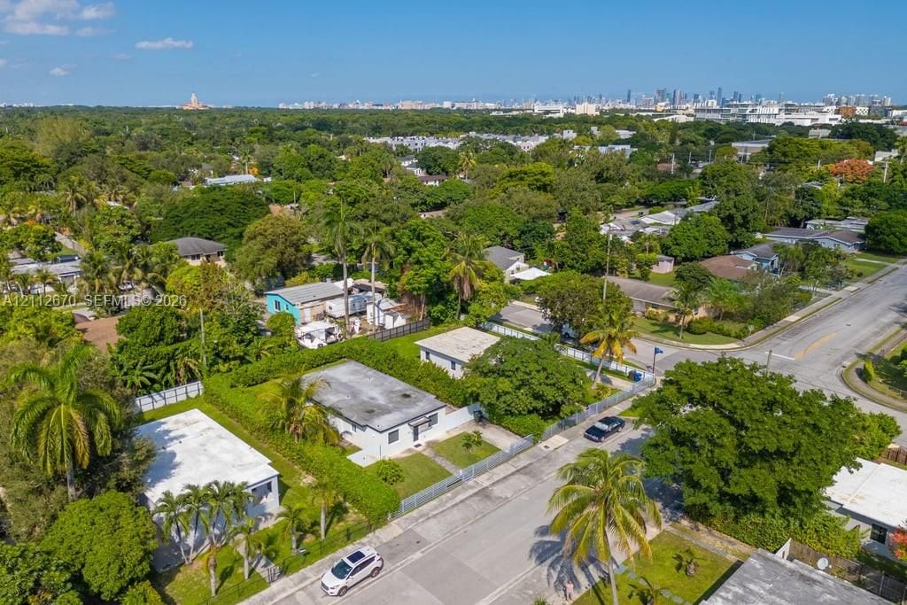 Aerial perspective of a residential lot featuring mature palm trees, dense perimeter greenery, and street-side access