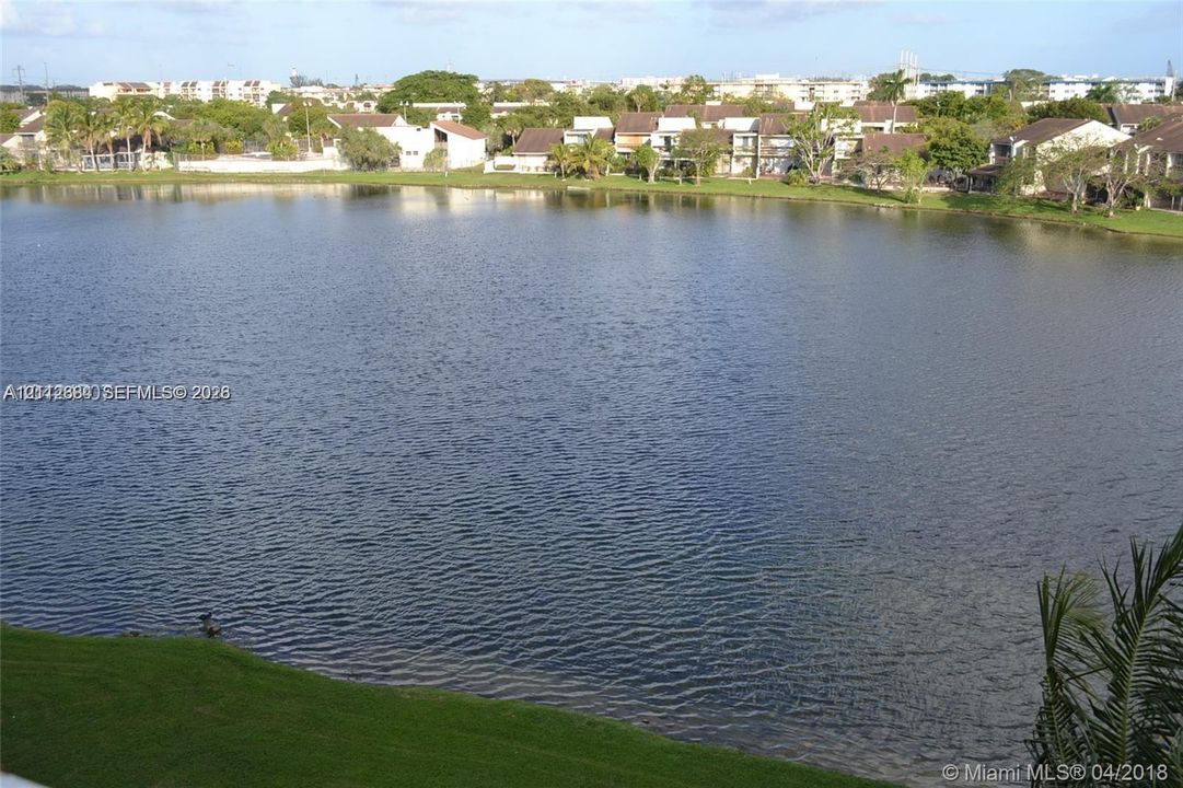 Large natural lake featuring grassy shoreline landscaping and mature palm trees