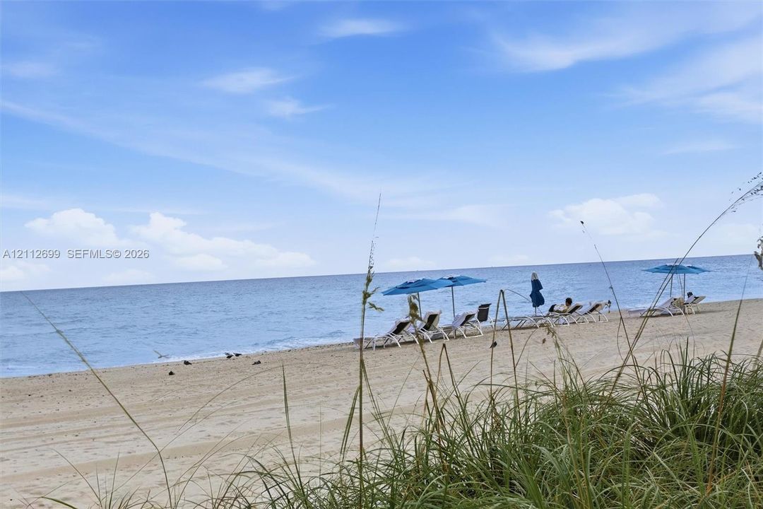 Private sandy beach frontage with native dune grasses and open ocean horizon