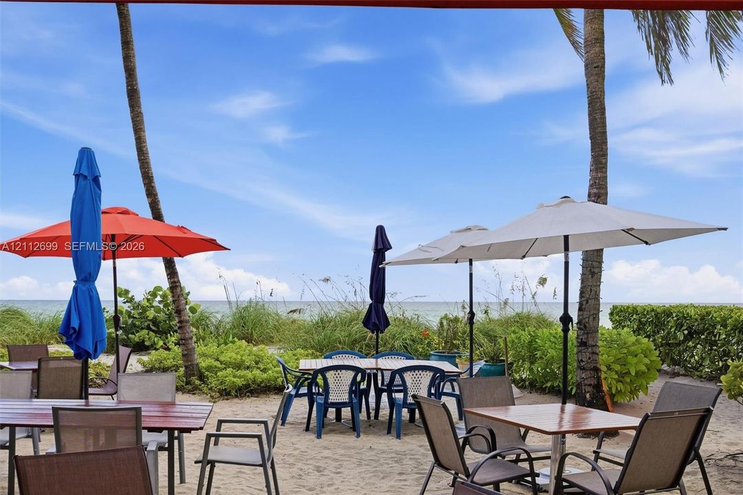 Sandy beachfront patio featuring mature palm trees, native coastal vegetation, and direct access to the oceanfront