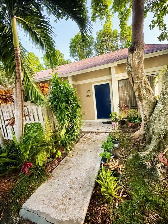 Exterior entrance featuring a concrete walkway, light-toned stucco siding, and a solid blue entry door