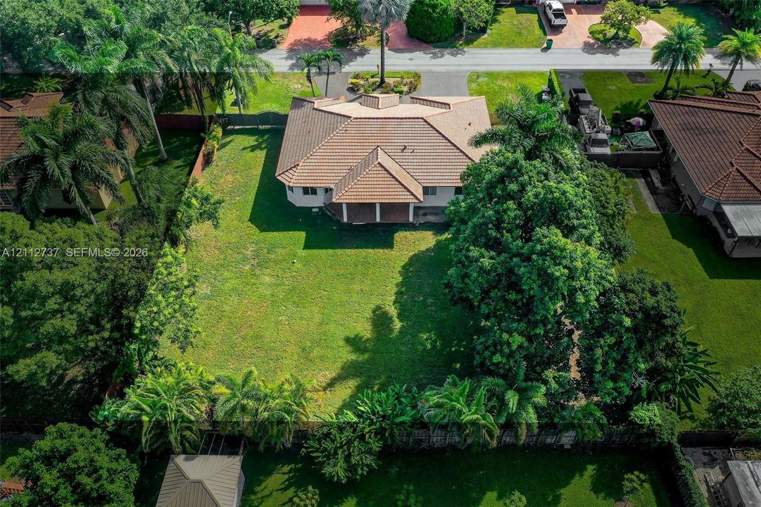 Expansive lot featuring a multi-gabled tile roof, a rear covered patio, mature landscaping, and an extensive lawn area