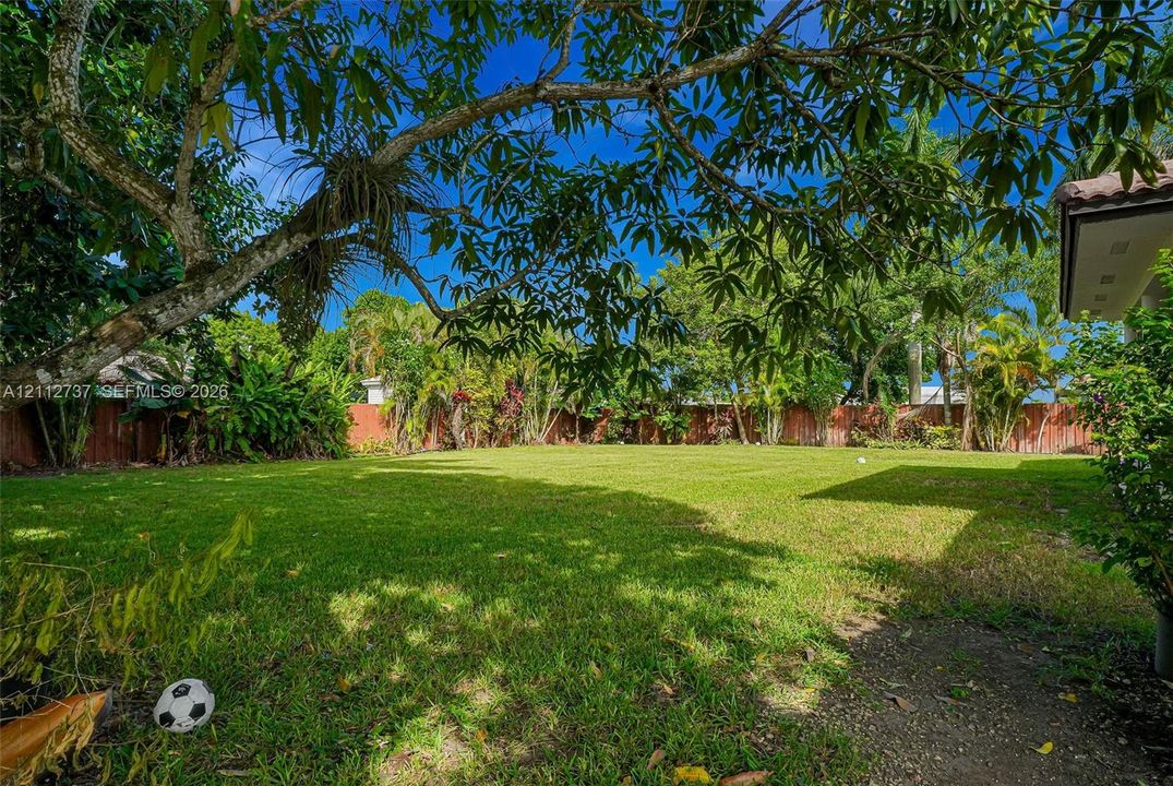 Expansive backyard featuring a manicured lawn, mature trees, and perimeter wood fencing