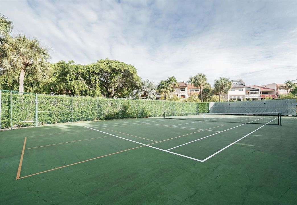 Private tennis/pickleball court featuring a green surface, perimeter chain-link fencing, and mature landscaping
