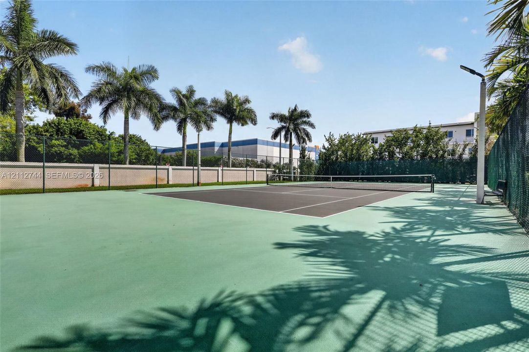 Tennis court with a high-contrast playing surface, enclosed by chain-link fencing, featuring overhead lighting and mature palm tree landscaping
